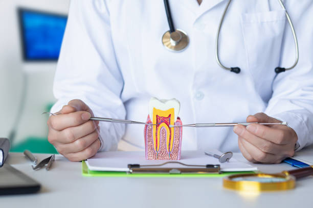 Best Emergency Root Canal Treatment in Berkeley, CA